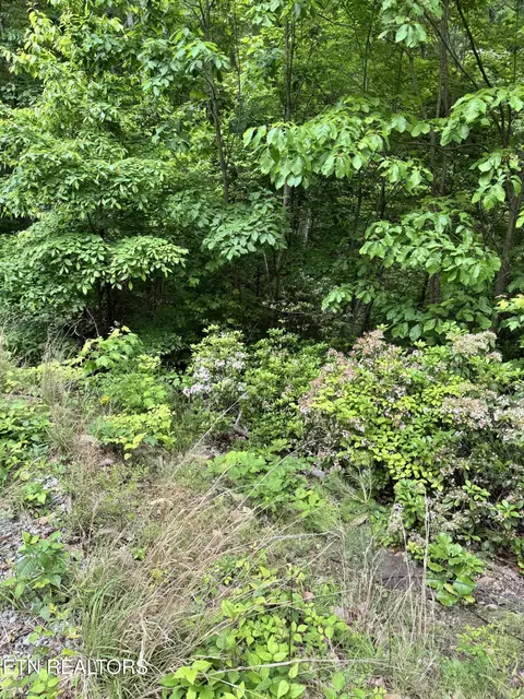 goose creek rd LOT 1, Seymour, TN 37865