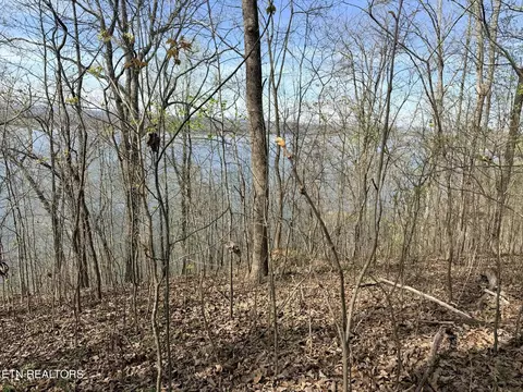 lot8 Johnson Ln, Ten Mile, TN 37880