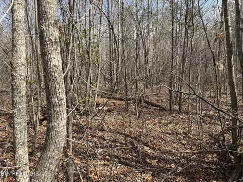cumberland lakes drive, Monterey, TN 38574