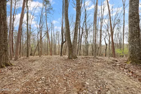 0 Pleasant View Loop, Clinton, TN 37716 photo 4