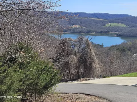 lot443 Feldspar Rd, New Tazewell, TN 37825