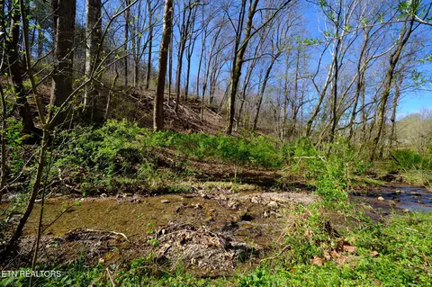 3212 Long Hollow Rd, Powell, TN 37849