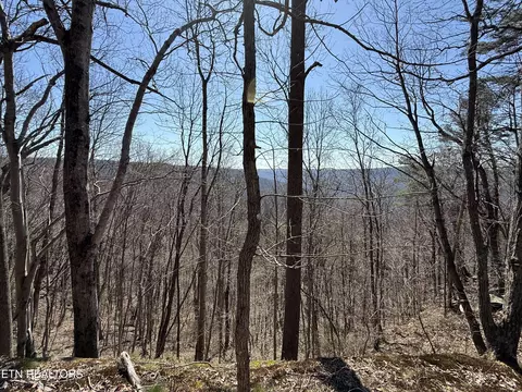 Cumberland Cove Rd, Monterey, TN 38574