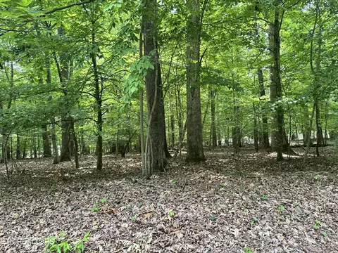 Woods Ridge Rd, Dandridge, TN 37725