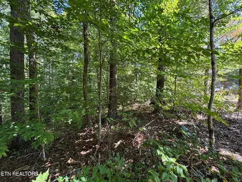 lot6 Saddle Brook Way, Sevierville, TN 37862