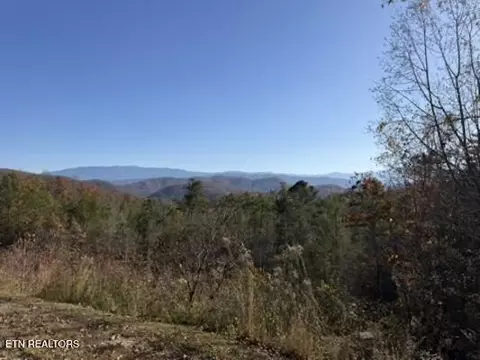 Parcel 053 050.00 Obes Branch Rd, Sevierville, TN 37876