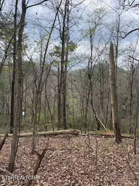 151 Hennessey Mtn Brisk Way, Cosby, TN 37722