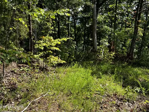 Huckleberry Way, Sevierville, TN 37862