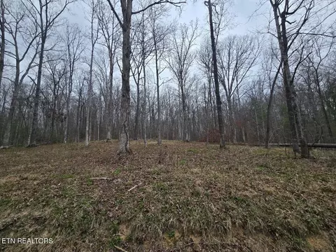 0 Scott-fentress Co Line, Allardt, TN 38504