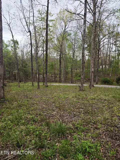 0 Scott-fentress Co Line, Allardt, TN 38504