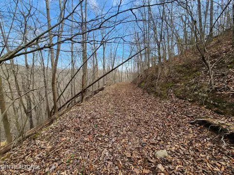 Alpine Drive, Smithville, TN 37166
