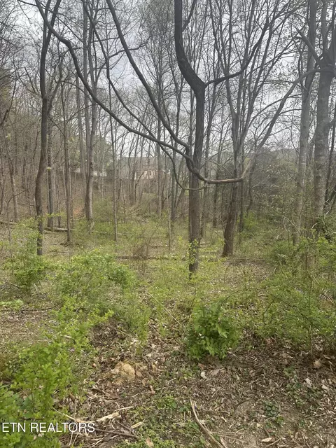 Mountain Grove Lane, Seymour, TN 37865