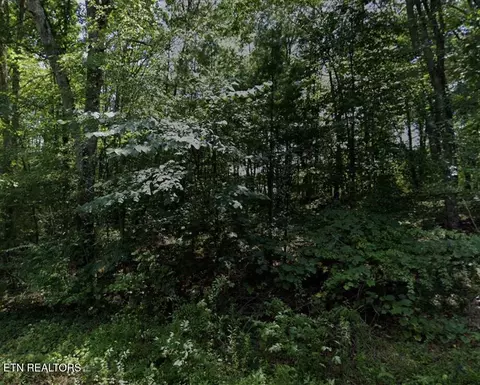 7014 Ute Ln, Crossville, TN 38572