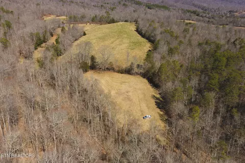 50 Acres Sutton Hollow Rd, Sneedville, TN 37869