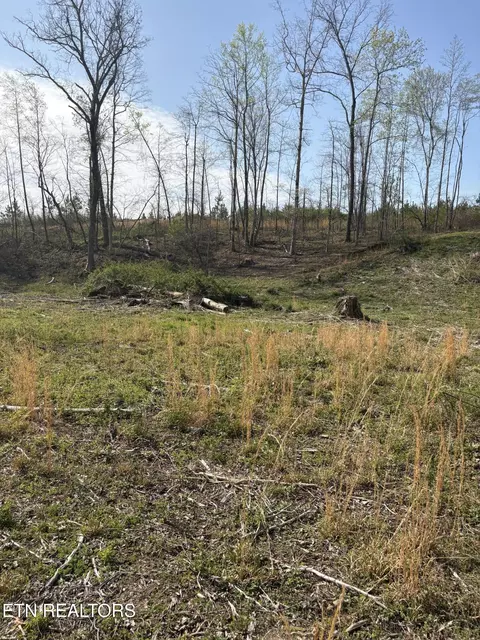 706 Arwine Rd, Decatur, TN 37322