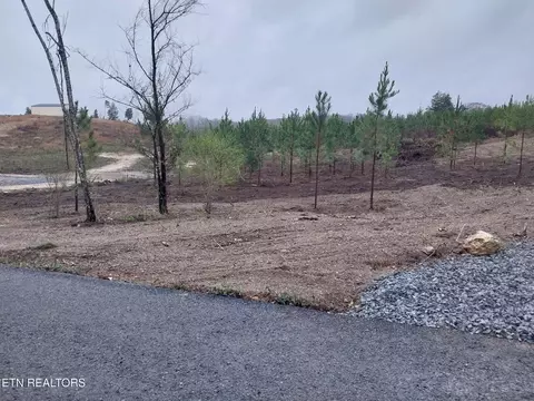 339 Big Sewee Rd, Decatur, TN 37322