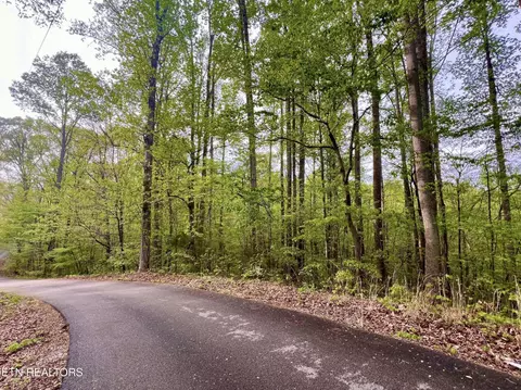 lot76 77 Polly Mountain Rd, Madisonville, TN 37354