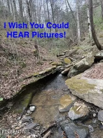 0 Hickory Creek Rd, La Follette, TN 37766