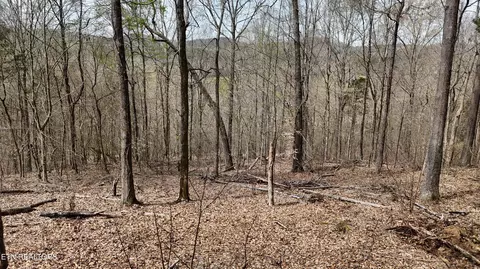 000 Geren Subd Ln, Decatur, TN 37322