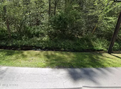 lot925 Silver Poplar Ln, Sevierville, TN 37876