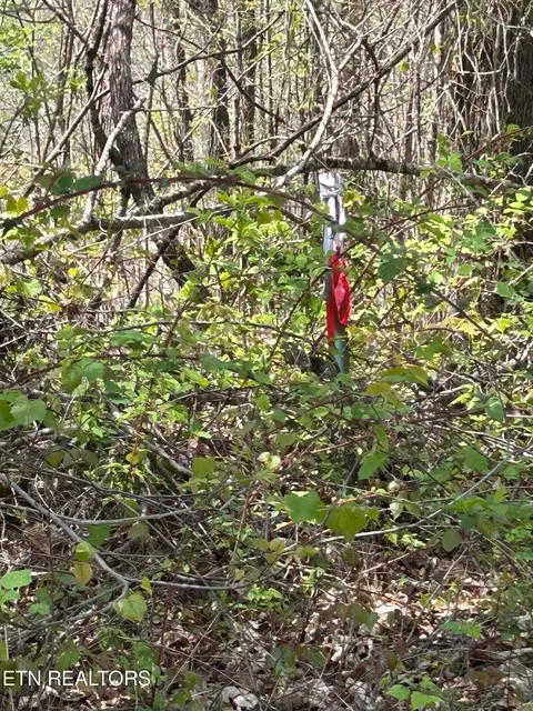 lot27 Jones Ridge Rd, Speedwell, TN 37870