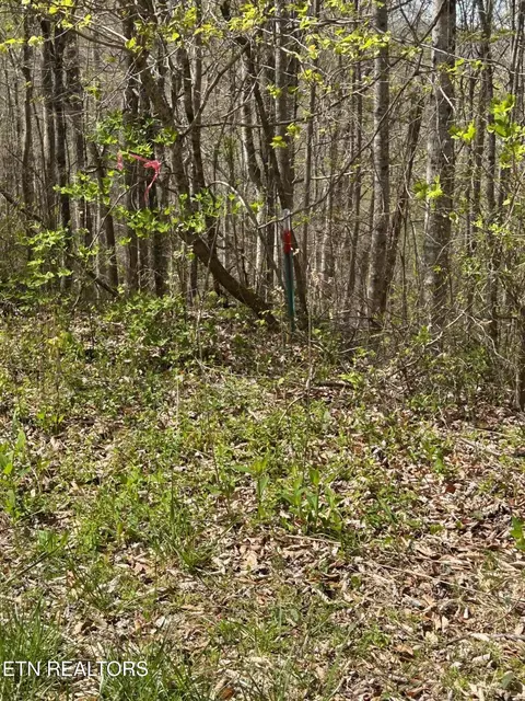 lot28 Jones Ridge Rd, Speedwell, TN 37870