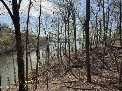 39 Eerie Pt #LOT 39, Rockwood, TN 37854