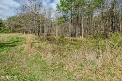 1259 Steve Brown Rd, Bean Station, TN 37708 photo 2
