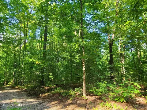 lot9 Walden Flats Way, Sevierville, TN 37862