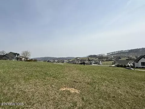 335 Hawks, Loudon, TN 37774