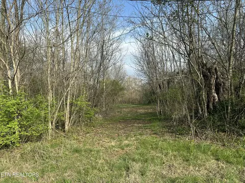 Other - 5752 Buell St, Talbott, TN 37877 photo 4 of 5