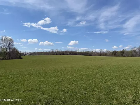 1342 Walt Reed Rd, Grandview, TN 37337