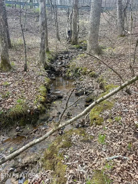 0 Crystal Pt, Monterey, TN 38574