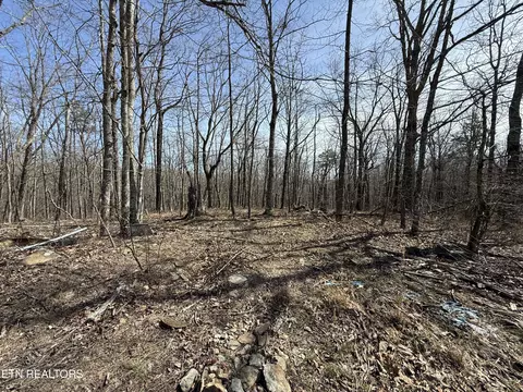 lot69 W Log Rd, Spring City, TN 37381