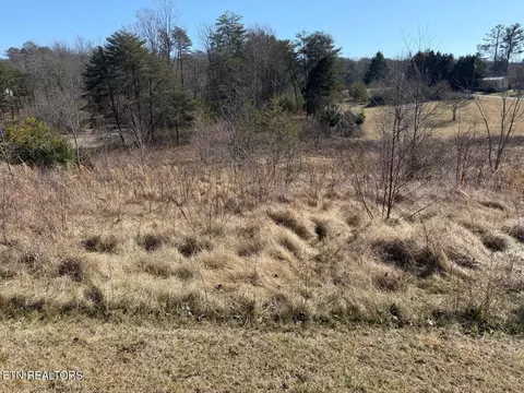 7 Crockett Lake Dr, Crossville, TN 38572
