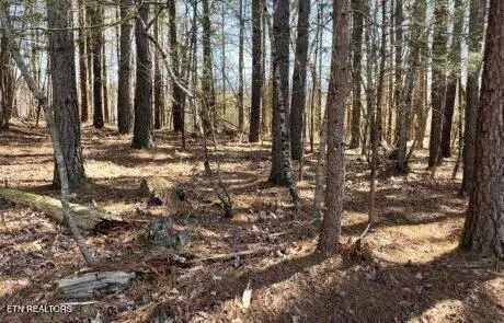 194 Forest Ridge Ln, Greenback, TN 37742