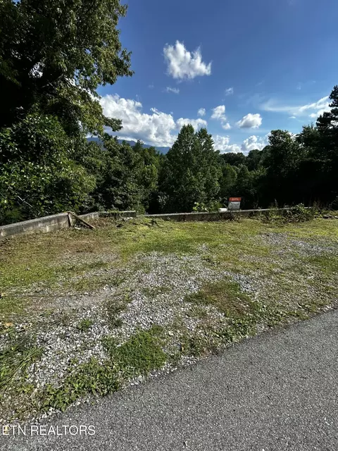 545 Johnson Ln UNIT D, Gatlinburg, TN 37738