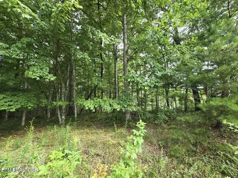 lot244 Walking Horse Dr, Jamestown, TN 38556