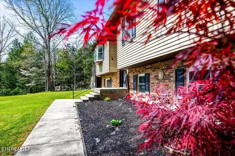 Other - 384 Hc Smith Dr, Oneida, TN 37841 photo 1 of 9