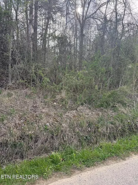 Griffith Rd, Pikeville, TN 37367