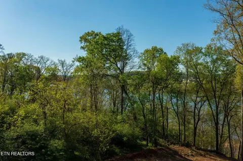171 Cedar Grove St, Loudon, TN 37774