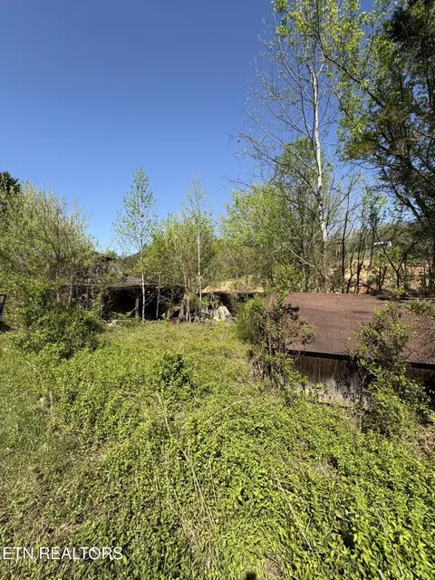 3755 Richardson Cove Rd, Sevierville, TN 37876