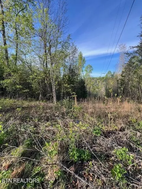 Pine Hollow Rd, Jacksboro, TN 37757