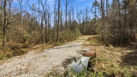 Young Rd, Robbins, TN 37852
