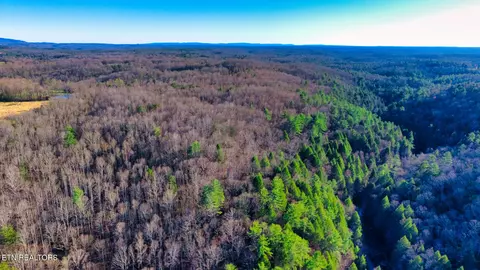 Tract 1 Ervin Brown Rd #TRACT 1, Sunbright, TN 37872