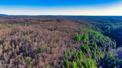 Tract 4 Ervin Brown Rd #TRACT 4, Sunbright, TN 37872