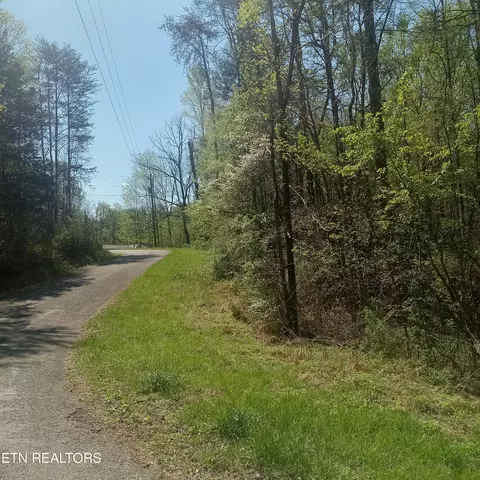 Mountain Rd, Tellico Plains, TN 37385