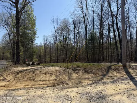 Coon Hollow Rd, Sunbright, TN 37872