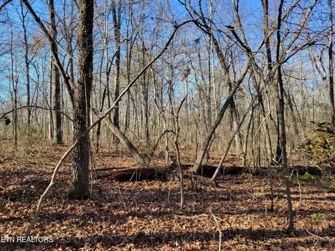 11 Rhonda Rd, Monterey, TN 38574