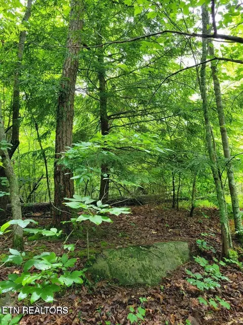 Blk 203 L5 Cumberland Lakes Drive, Monterey, TN 38574